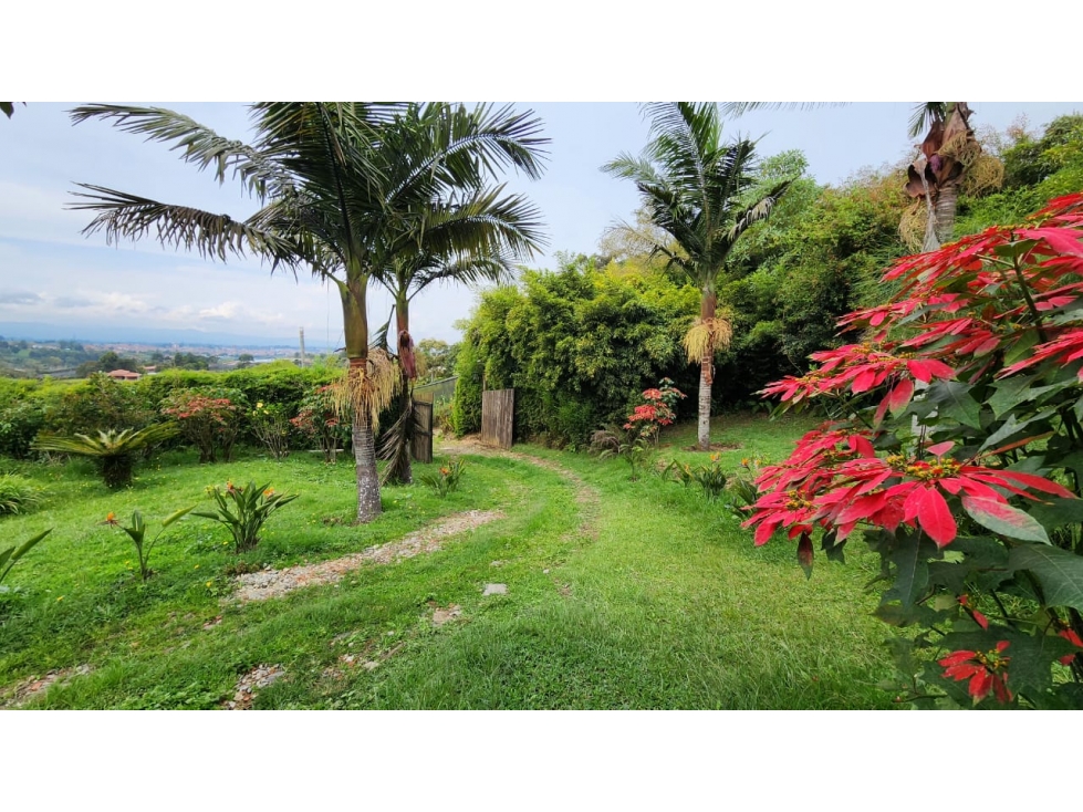 VENTA DE FINCA EN EL CARMEN DE VIBORAL VEREDA LA CHAPA — foto 6