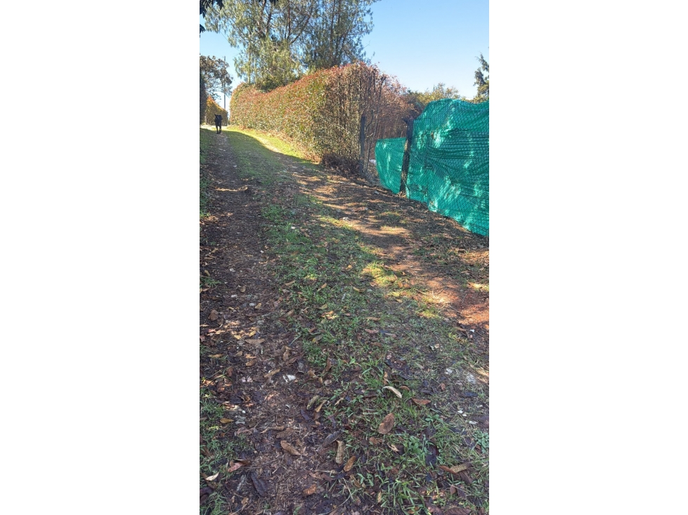 VENTA DE LOTE EN SAN VICENTE DE FERRER VEREDA EL CHAPARRAL  — foto 3