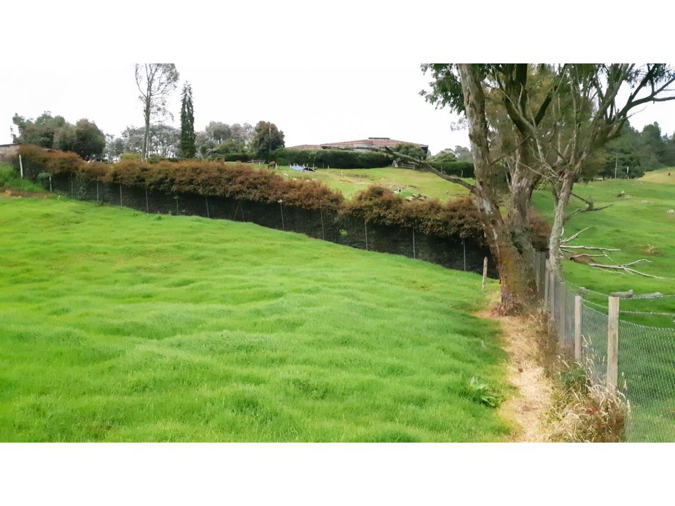 Lote en Venta Alto de Palmas, Envigado — foto 3