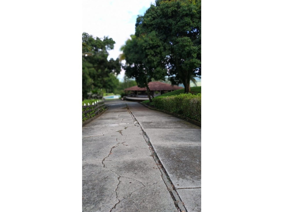 Venta de Finca en La Pintada - 5