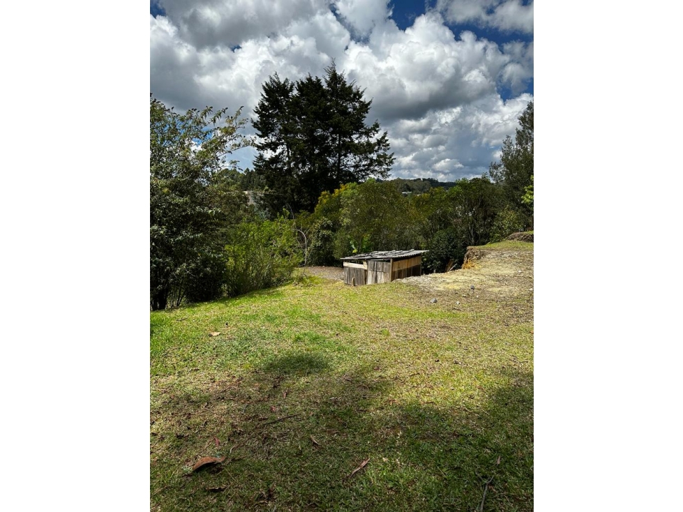 Venta de lote en Alto de Palmas — foto 2