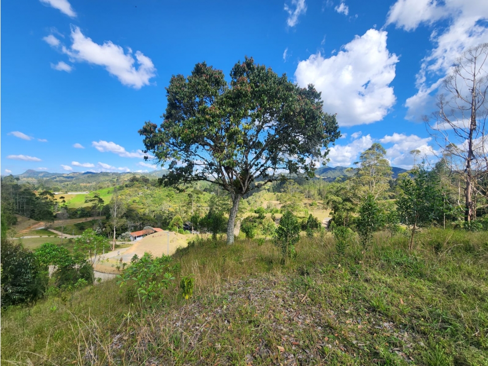 Venta de Lote en el Retiro- Via Pantanillo