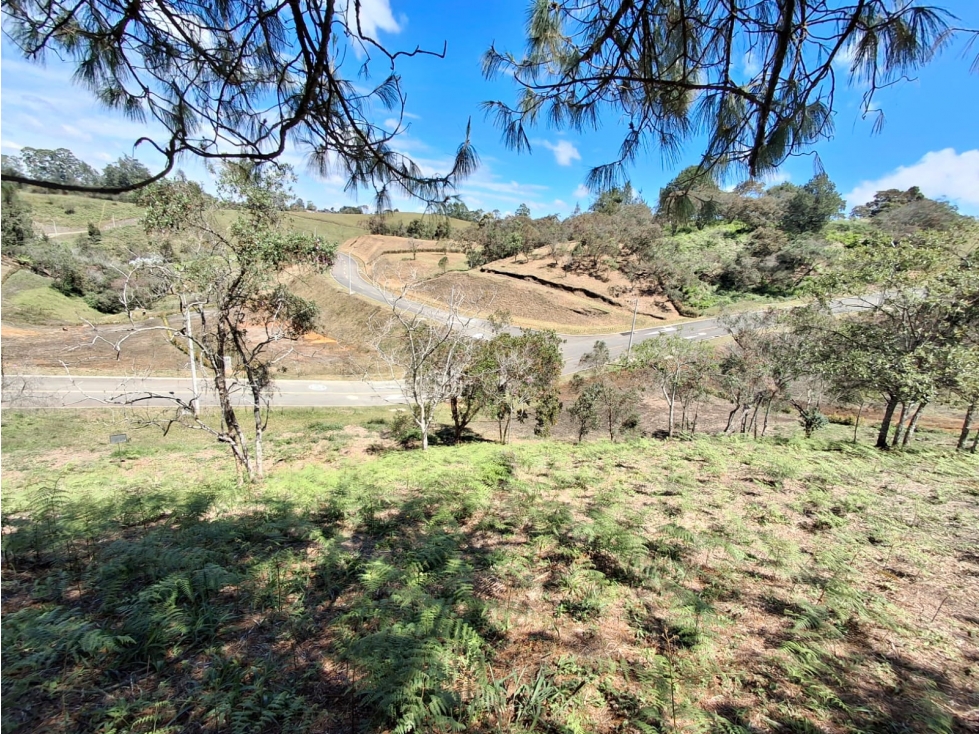 Venta de Lote en San Antonio La Ceja - Sector La Cucharita — foto 6
