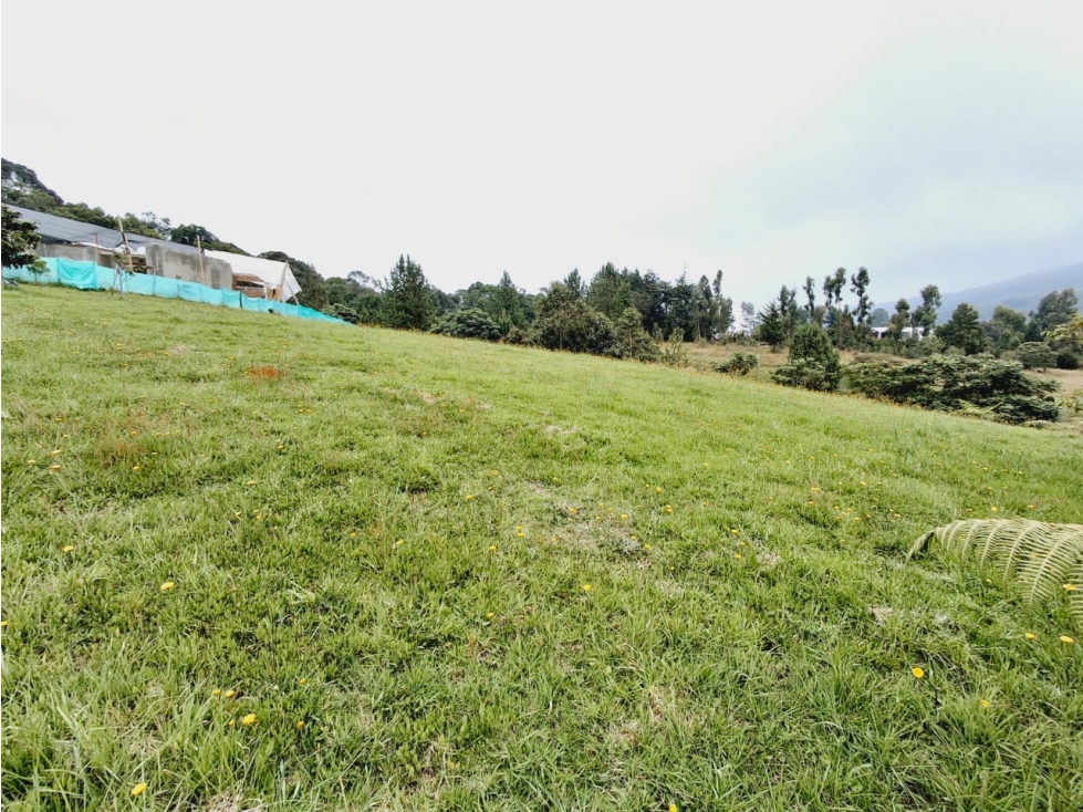 Venta de lote en el Alto de las Palmas - Sector la Acuarela — foto 3