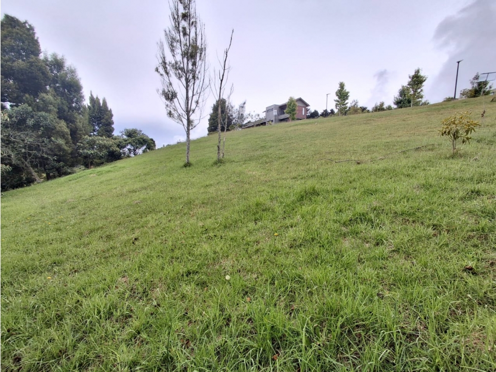 Venta de lote en el Alto de las Palmas- Sector la Acuarela — foto 3