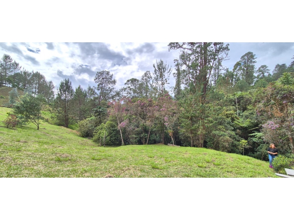 Vendo lote campestre ubicado en el municipio de El Retiro, Antioquia. — foto 3