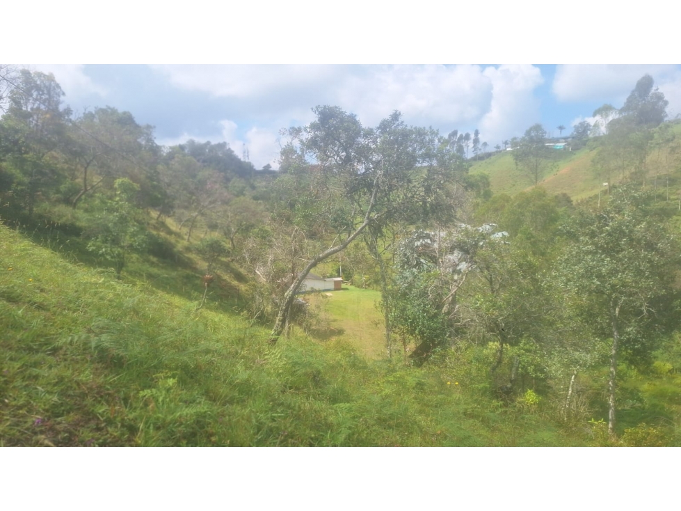 LOTE URBANIZADO VDA CHAPARRAL A 10 KM AUT.MEDELLIN-BOGOTA — foto 3