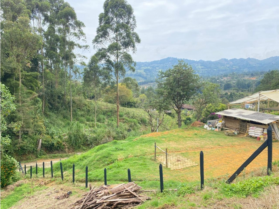 LOTE EN GUARNE -CERCA A LA AUTOPISTA — foto 3