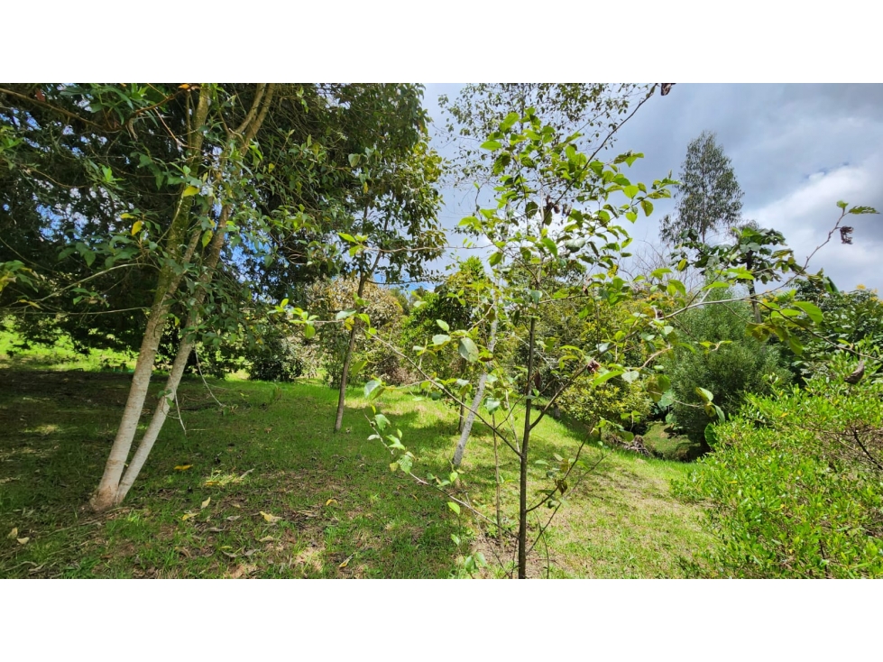 LOTE EN VENTA ALTO DE LAS PALMAS- SECTOR LA ACUARELA- ENVIGADO — foto 4