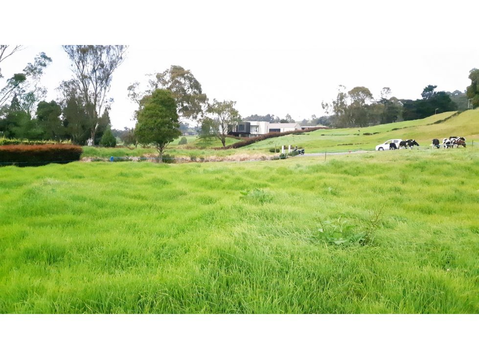 Lote en Venta Alto de Palmas, Envigado