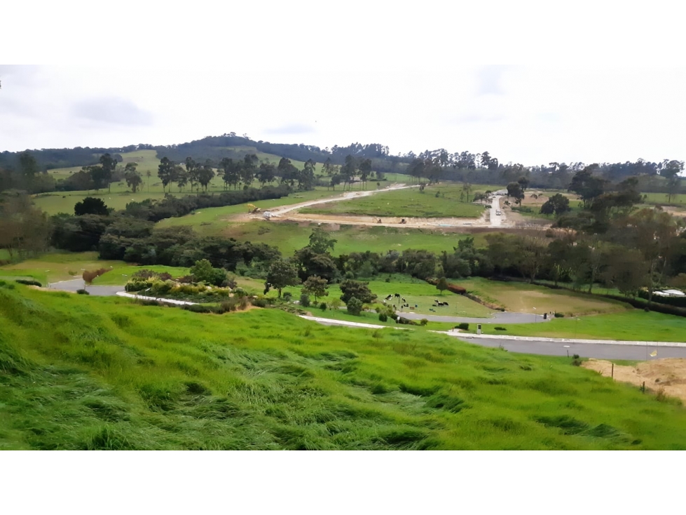 Lote en Venta Alto de Palmas, Envigado — foto 6