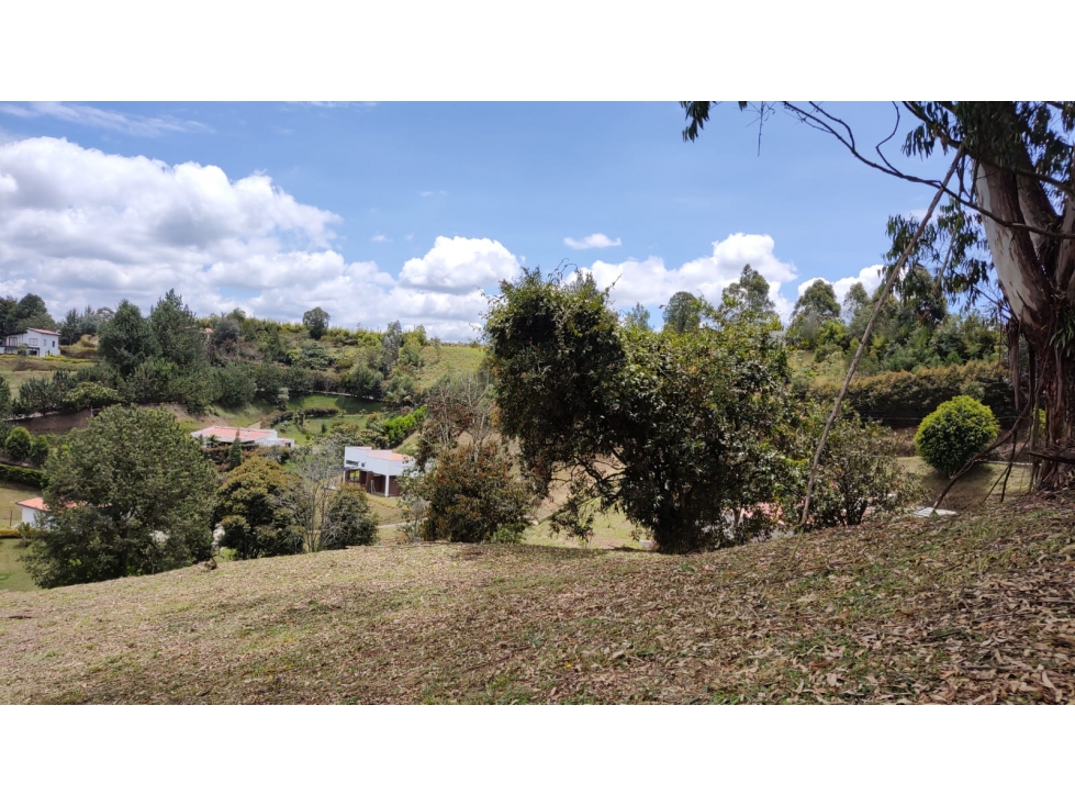 Venta de lote en vía Rionegro - Carmen de Viboral, sector La Macarena — foto 5