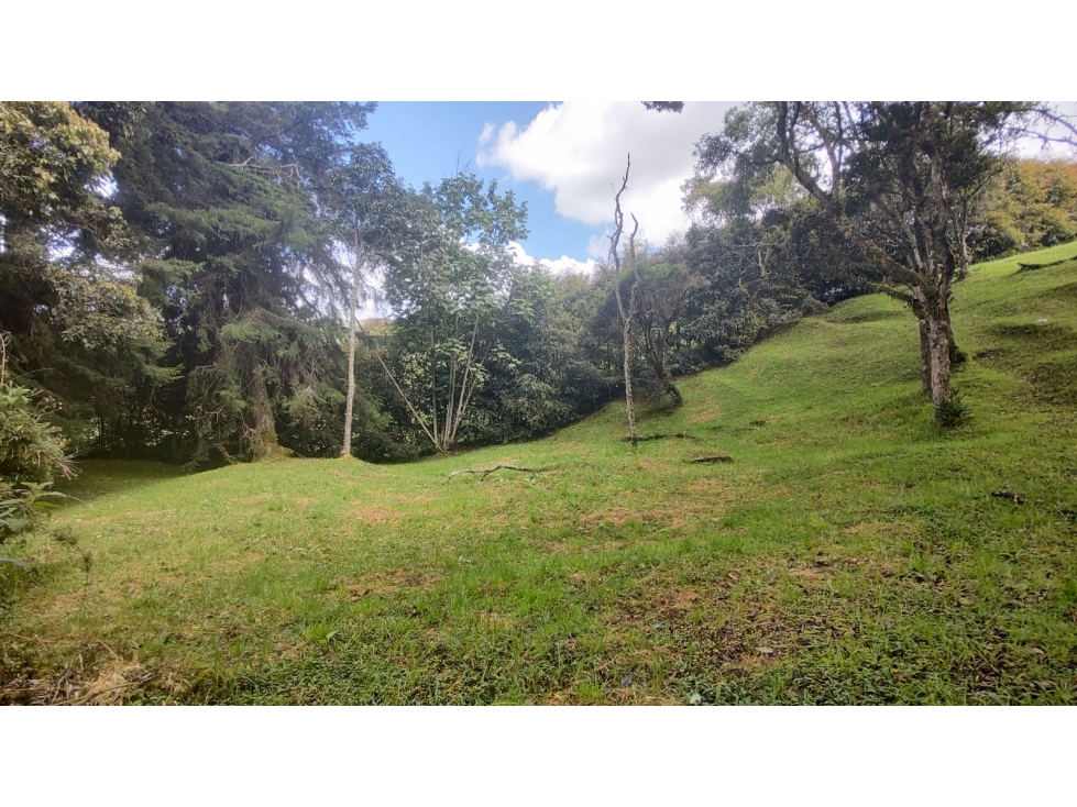 Venta de lote en Las Palmas, Envigado — foto 4