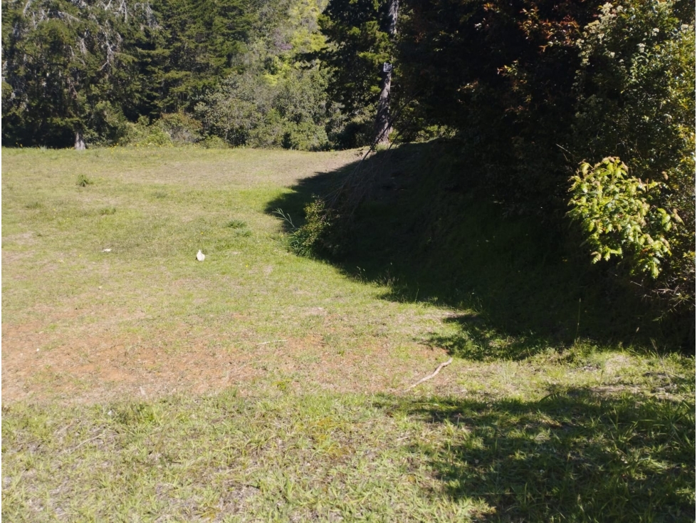 Venta de Lote en el Retiro - Vereda el Chuscal — foto 4
