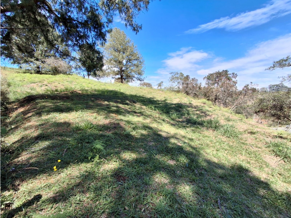 Venta de Lote en San Antonio La Ceja - Sector La Cucharita — foto 3