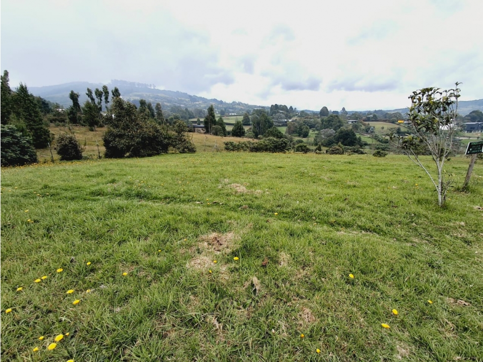 Venta de lote en el Alto de las Palmas - Sector la Acuarela — foto 4