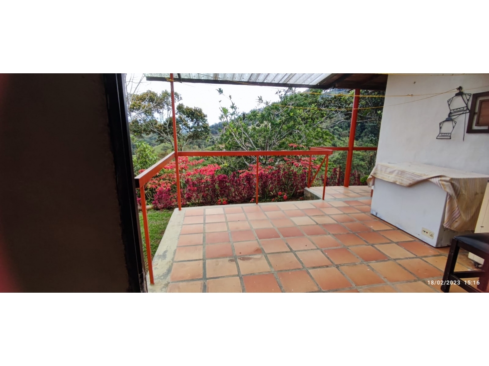 Venta de Finca en el municipio de San Roque- Vereda La Candelaria - 5