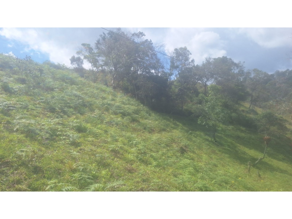 LOTE URBANIZADO VDA CHAPARRAL A 10 KM AUT.MEDELLIN-BOGOTA — foto 4