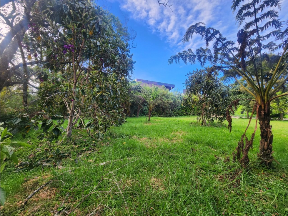 LOTE EN VENTA ALTO DE LAS PALMAS- SECTOR LA ACUARELA — foto 4