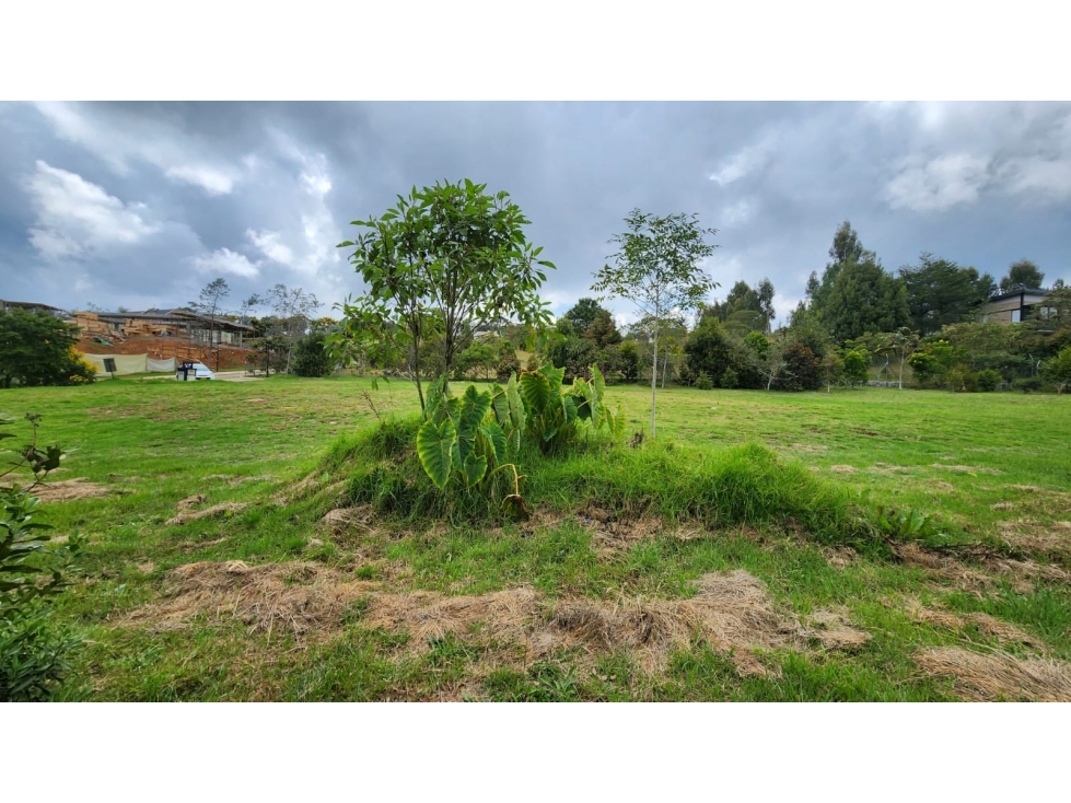 LOTE EN VENTA ALTO DE LAS PALMAS-SECTOR LA ACUARELA-ENVIGADO — foto 5