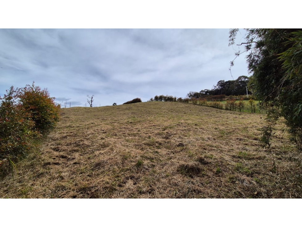 Exclusivo lote para construir casa campestre Alto Las Palmas, Envigado