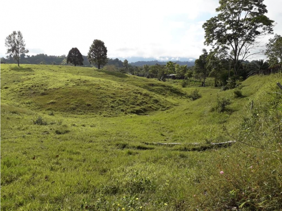 Finca Ganadera en Venta Cimitarra, Santander - 5