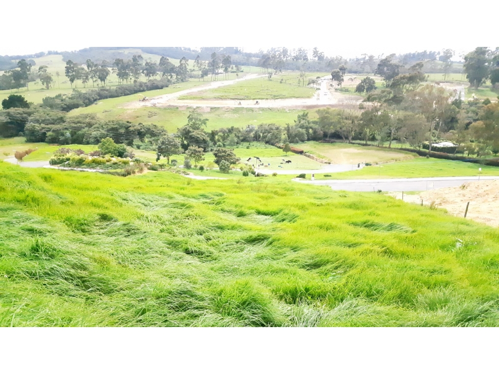 Lote en Venta Alto de Palmas, Envigado — foto 5