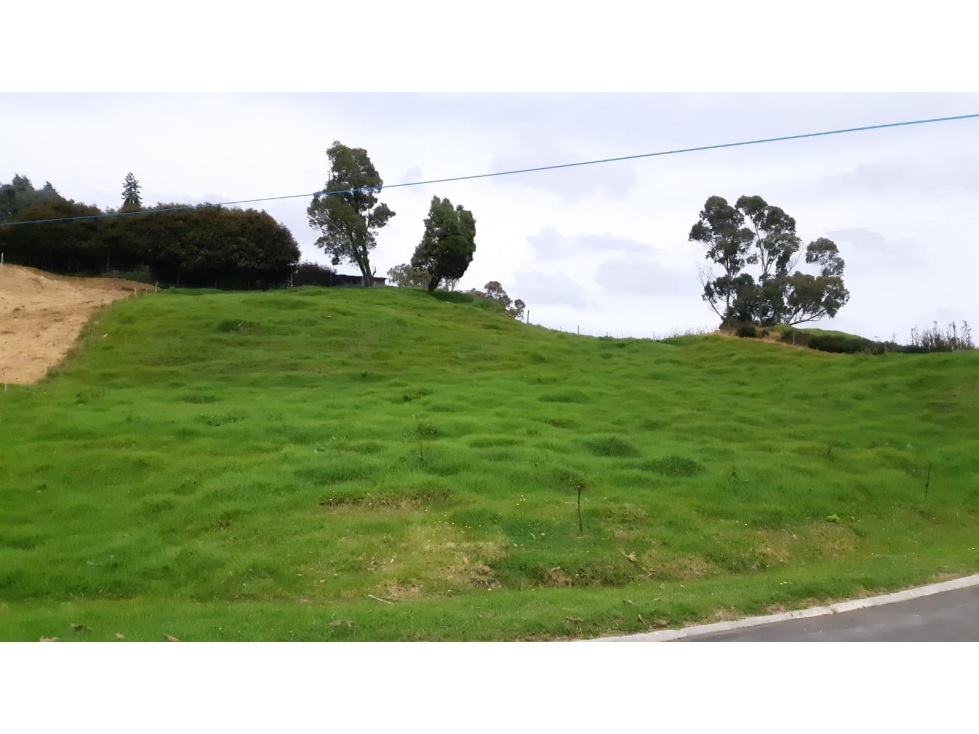 Lote en Venta Alto de Palmas, Envigado — foto 3