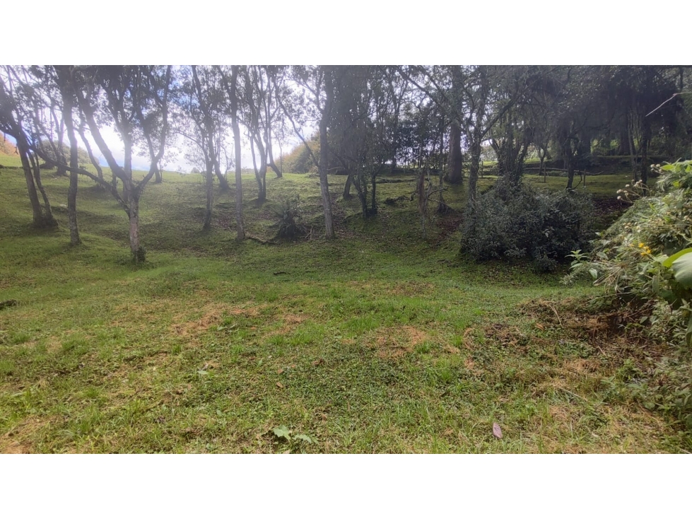 Venta de lote en Las Palmas, Envigado — foto 6