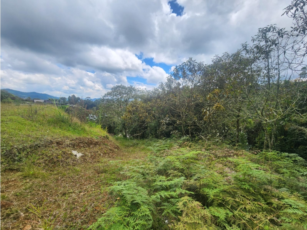 Venta de lote en el alto de Palmas, sector la Esperanza — foto 4