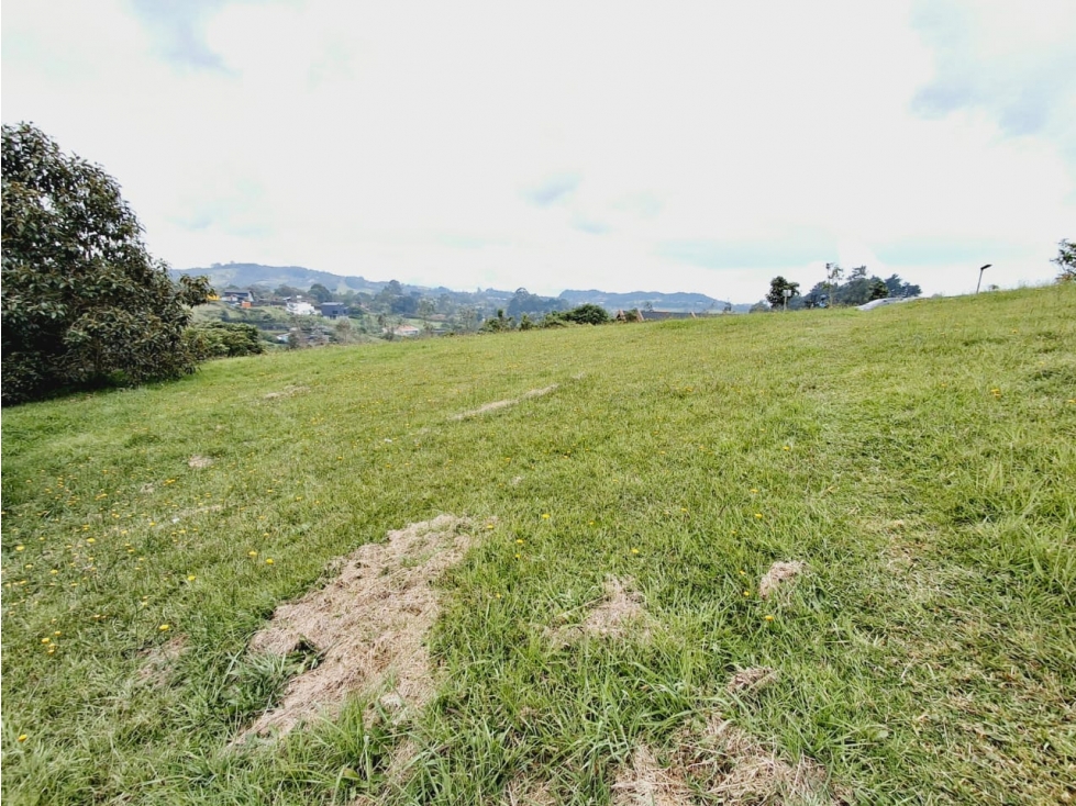 Venta de lote en el Alto de las Palmas - Sector la Acuarela — foto 5