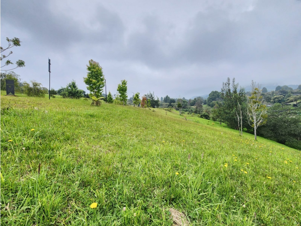 Venta de lote en el Alto de las Palmas- Sector la Acuarela — foto 2