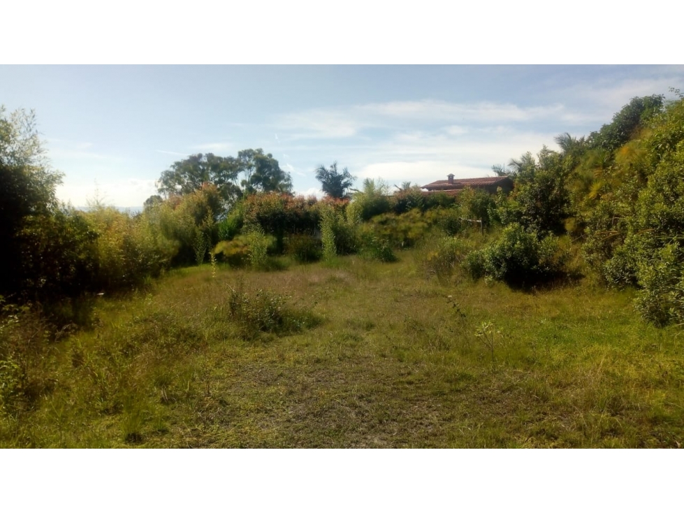 CON NACIMIENTO DE AGUA. Lote en el Carmen de Viboral- Vereda la Chapa — foto 2
