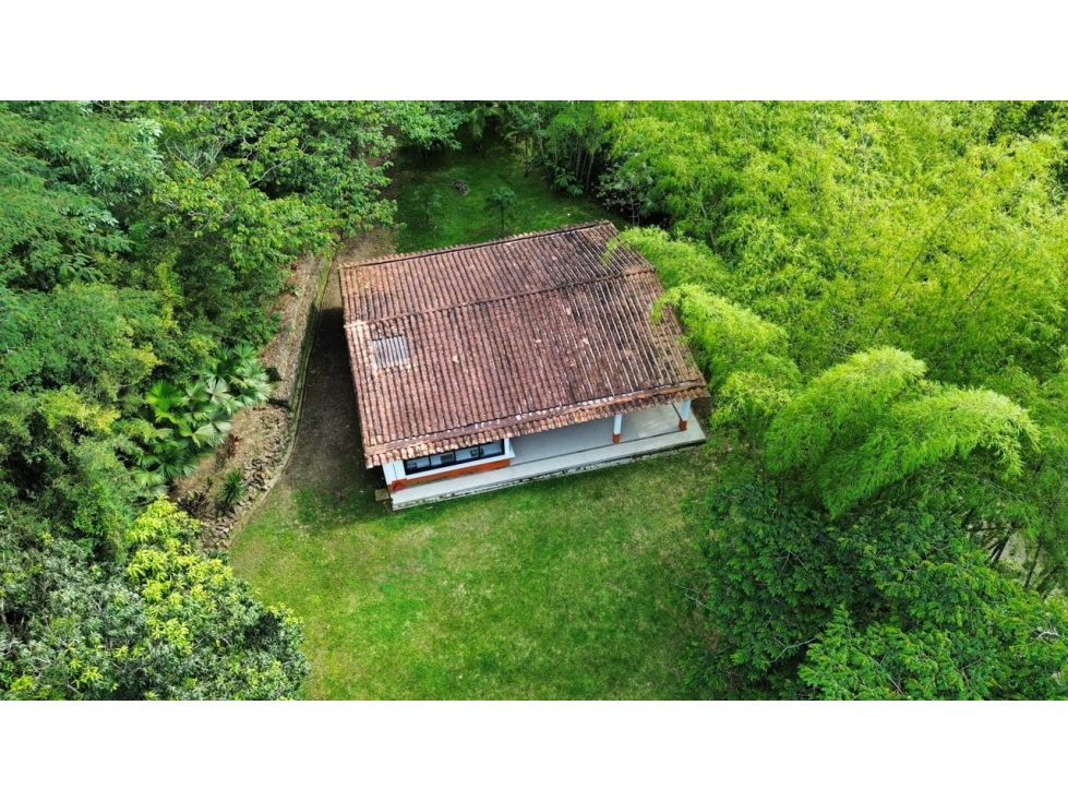 Venta de finca en Cocorná vereda La Piñuela - 2