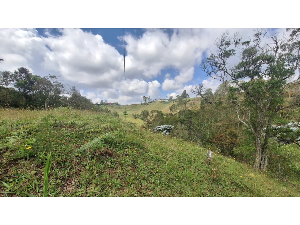 LOTE URBANIZADO VDA CHAPARRAL A 10 KM AUT.MEDELLIN-BOGOTA — foto 5