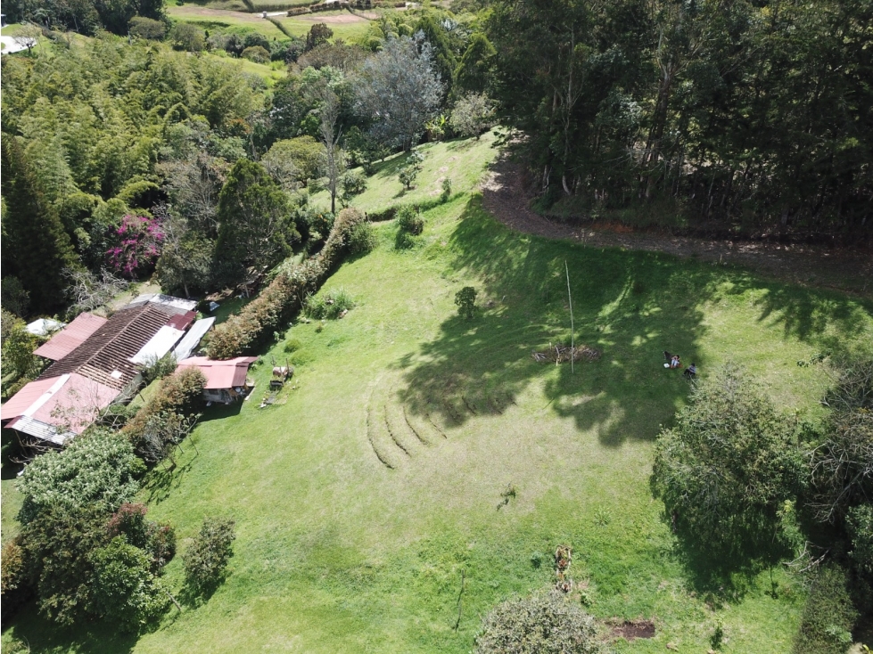 HERMOSOS LOTES EN EL CARMEN DE VIBORAL-VEREDA QUIRAMA — foto 5