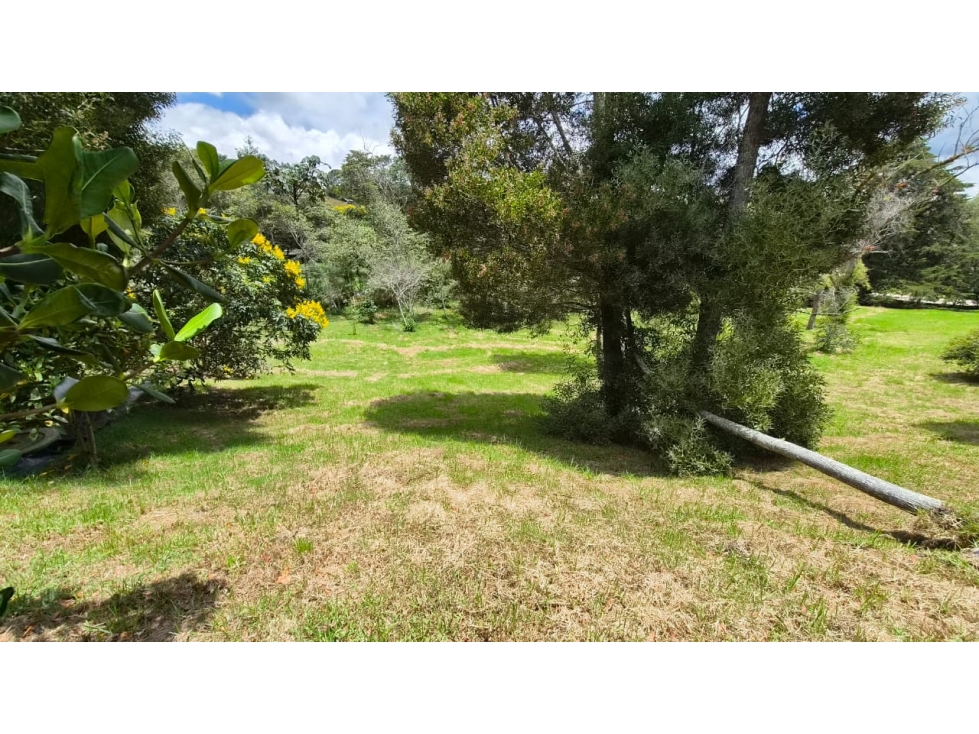 LOTE EN VENTA ALTOS DE LAS PALMAS- SECTOR LA ACUARELA-ENVIGADO — foto 6
