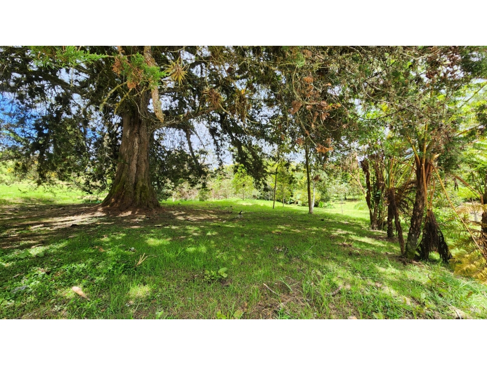 LOTE EN VENTA ALTO DE LAS PALMAS- SECTOR LA ACUARELA- ENVIGADO — foto 5