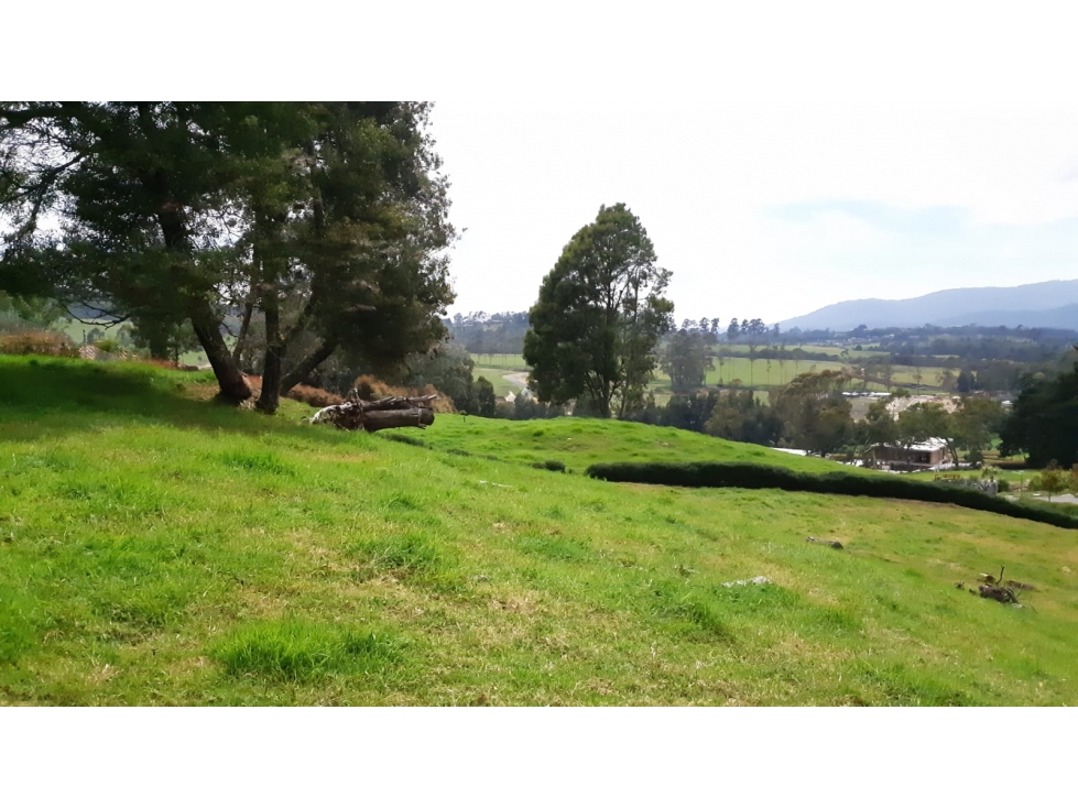 Lote en Venta Alto de Palmas, Envigado — foto 6