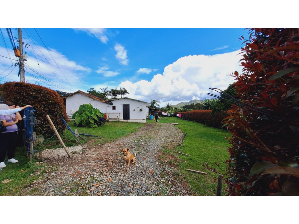 Venta de lote con 2 casa y 1 apartaestudio en Llano Grande — foto 3