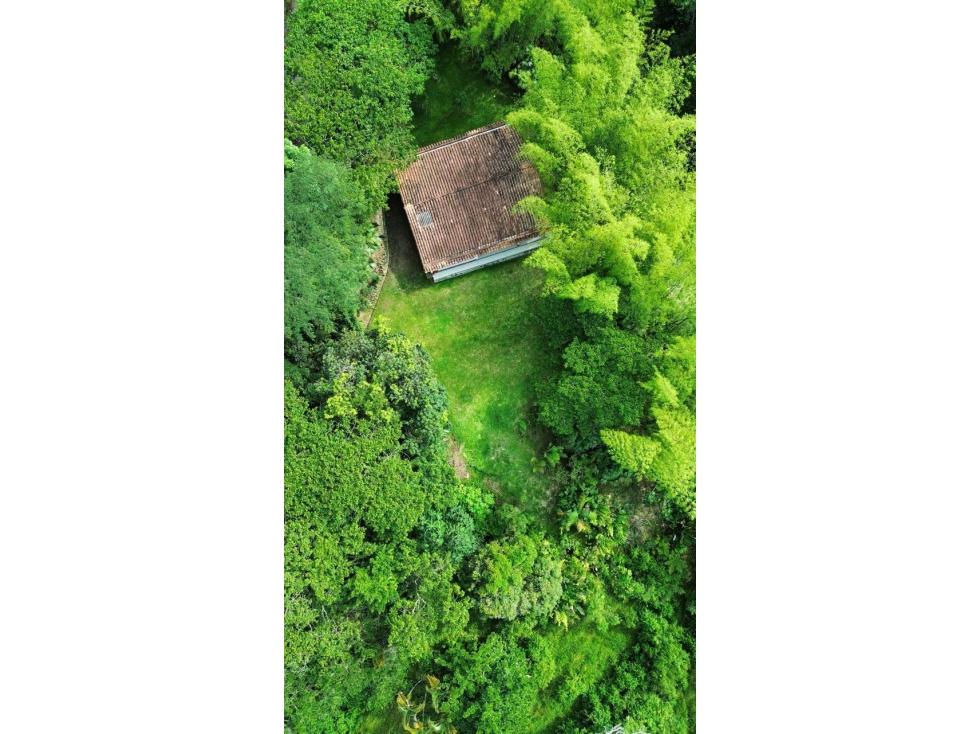 Venta de finca en Cocorná vereda La Piñuela - 3