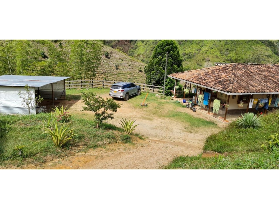 Venta de Finca Productiva en Santo Domingo Vereda Los Planes - 3