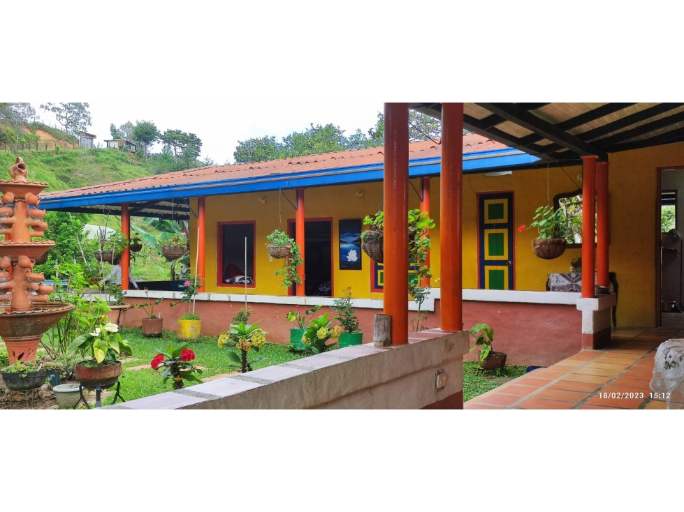 Venta de Finca en el municipio de San Roque- Vereda La Candelaria - 3
