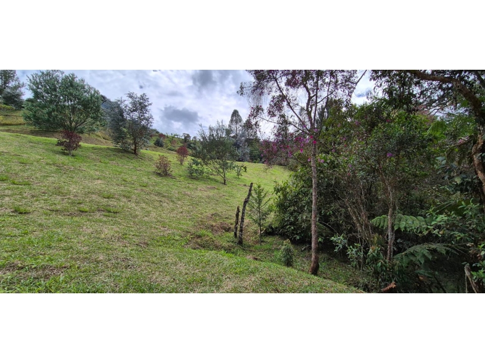 Vendo lote campestre ubicado en el municipio de El Retiro, Antioquia. — foto 6