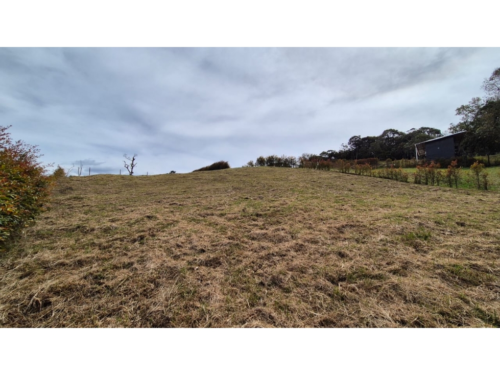 Exclusivo lote para construir casa campestre Alto Las Palmas, Envigado — foto 3