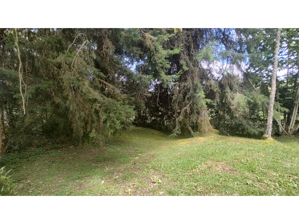 Venta de lote en Las Palmas, Envigado