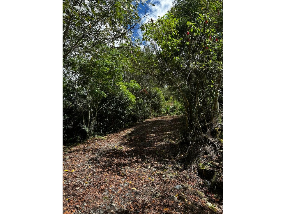 Venta de lote en Alto de Palmas — foto 6