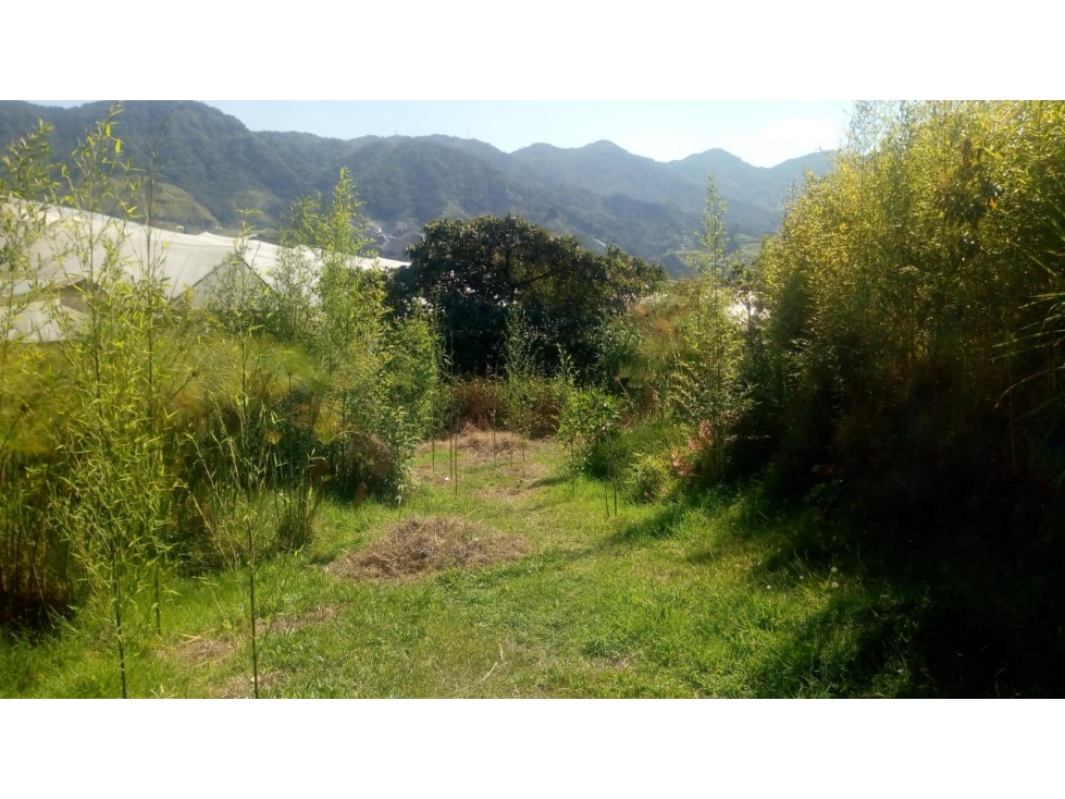 CON NACIMIENTO DE AGUA. Lote en el Carmen de Viboral- Vereda la Chapa — foto 4