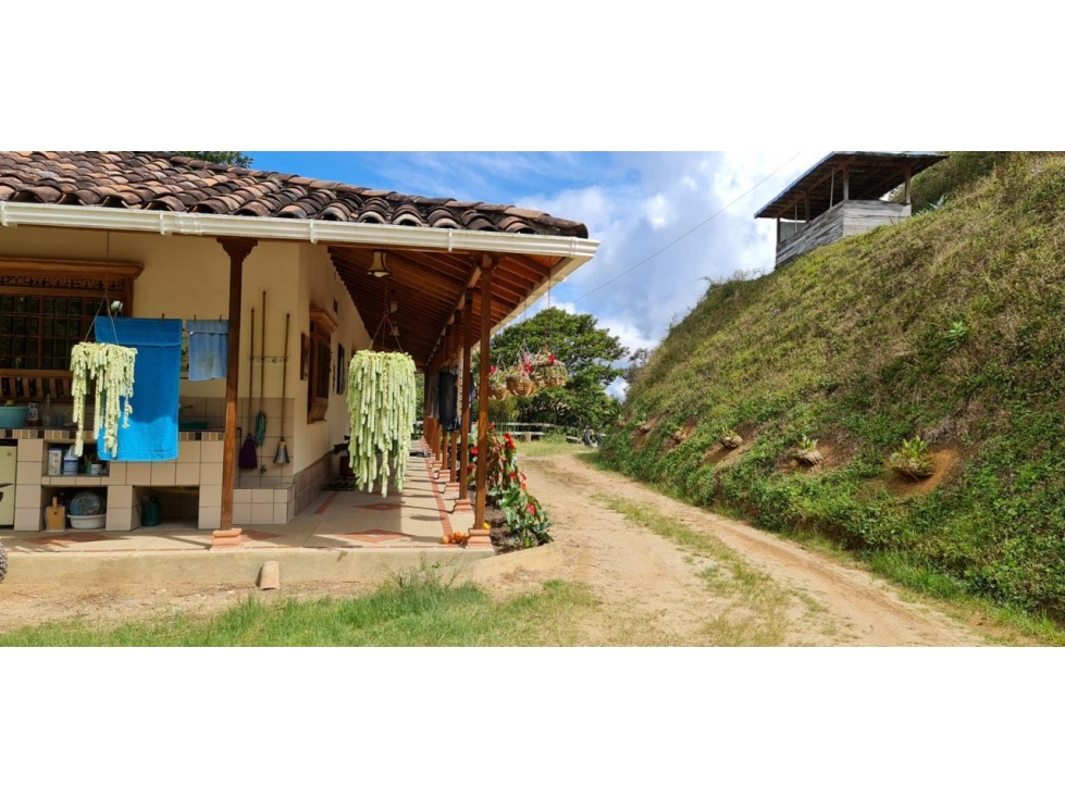 Venta de Finca Productiva en Santo Domingo Vereda Los Planes - 2