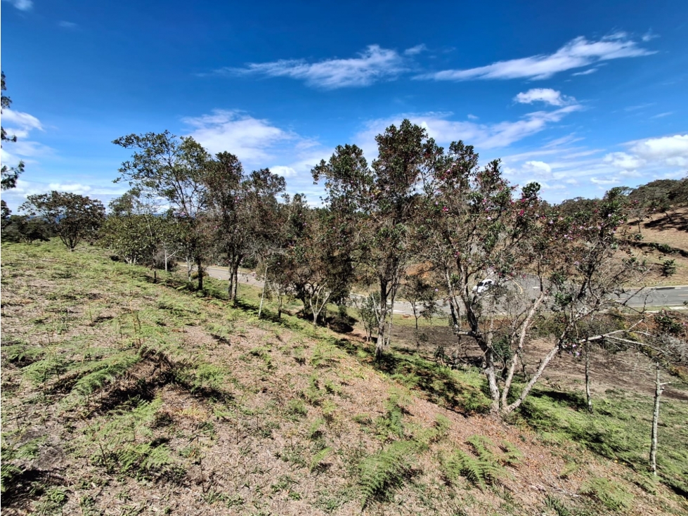 Venta de Lote en San Antonio La Ceja - Sector La Cucharita — foto 4